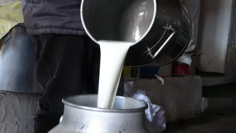 Çiğ süt fiyatları belli oldu –  Ankara Haber